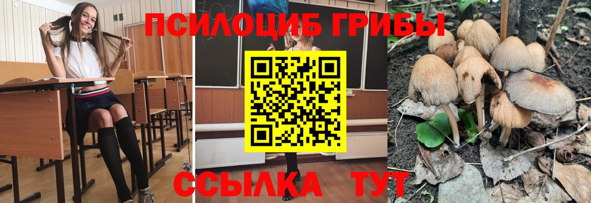 Псилоцибиновые грибы GOLDEN TEACHER Лянтор